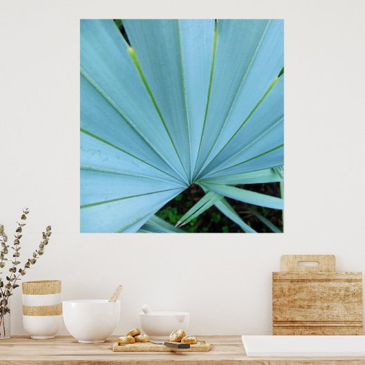 Gray Bismarck Palm Tree Close Up Print ポスター (キッチン)