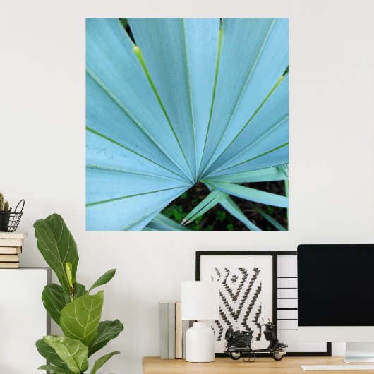 Gray Bismarck Palm Tree Close Up Print ポスター (ホームオフィス)