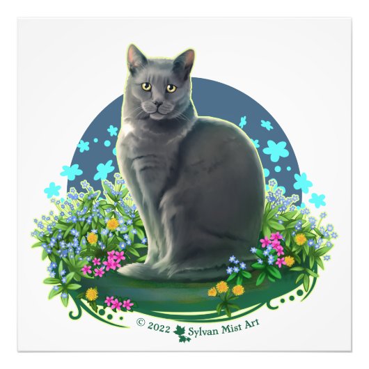 Gray Cat in the Flower Garden フォトプリント (正面)