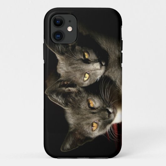 Gray Cats Photo iPhone SE + iPhone 5/5Sケース Case-Mate iPhoneケース (裏面)