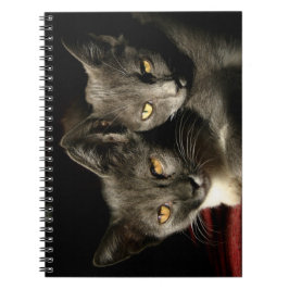 Gray Cats Photo Notebook （80ページB&W） ノートブック