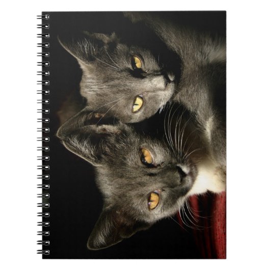Gray Cats Photo Notebook （80ページB&W） ノートブック (正面)