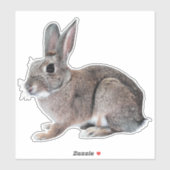 Gray Cottontail Rabbit Pet Bunny  シール (シート)