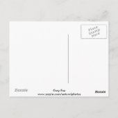 Gray Fox Postcard ポストカード (裏面)