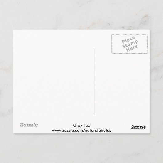 Gray Fox Postcard ポストカード (裏面)