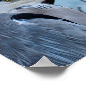 Gray Heron ポスター (角)