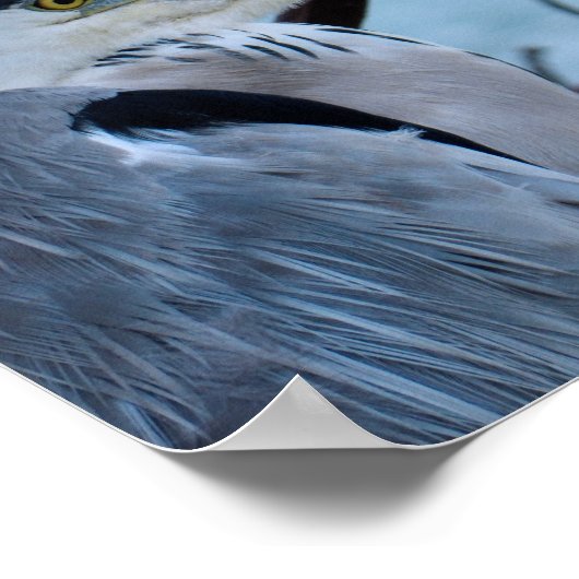 Gray Heron ポスター (角)