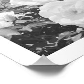 Gray Roses Floral Garden Photo Art Print Poster ポスター (角)