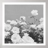 Gray Roses Floral Garden Photo Art Print Poster ポスター (正面)