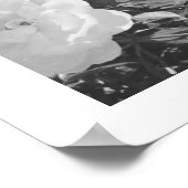 Gray Roses Floral Garden Photo Art Print Poster ポスター (角)