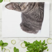 Gray Tabby Cat キッチンタオル (折り畳み)