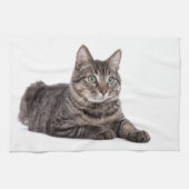 Gray Tabby Cat キッチンタオル (横)