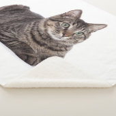 Gray Tabby Cat シェルパブランケット (3/4)