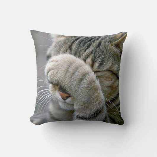 Gray Tabby Cat Macro クッション (正面)