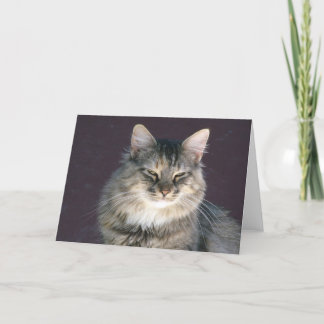 Gray Tabby Cat Note Card カード