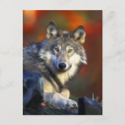 Gray Wolf, Endangered Species Digital Photography ポストカード (正面)
