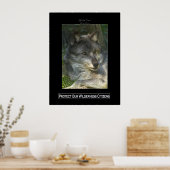 GRAY WOLF Wildlifeサポートポスター ポスター (キッチン)