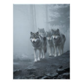 Gray Wolves in Thick Mist ポスター (正面)