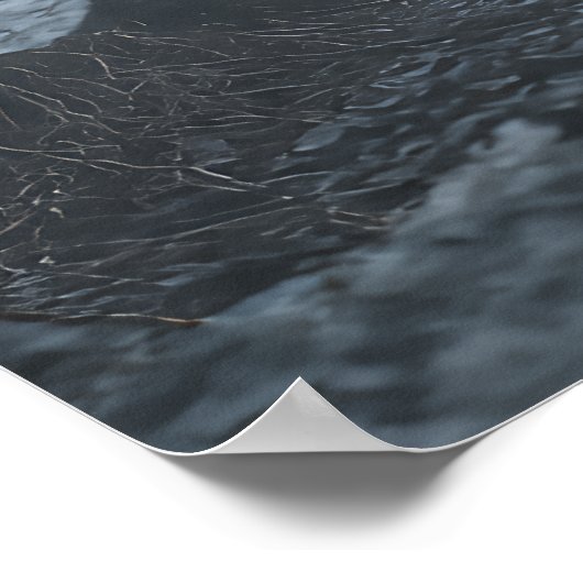 Gray Wolves in Thick Mist ポスター (角)