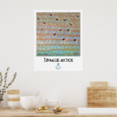 Grayling FFFポスター ポスター (キッチン)