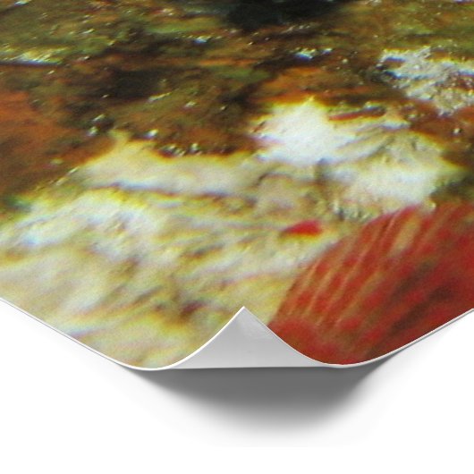 Graysby ポスター (角)