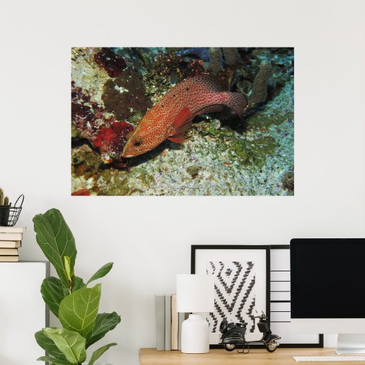 Graysby ポスター (ホームオフィス)