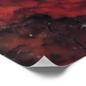 Graysby on a Sponge ポスター (角)