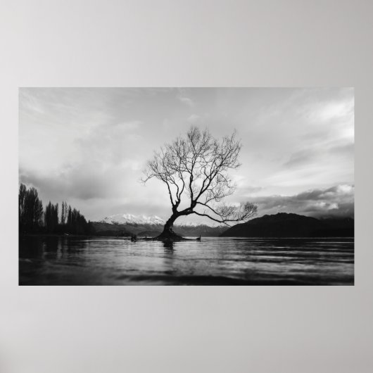 GRAYSCALE PHOTO OF BARE TREE ON CALM BODY OF WATER ポスター (正面)
