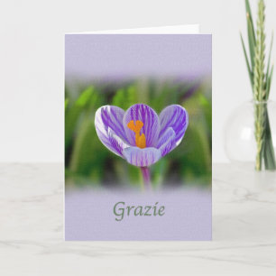 、Grazie、イタリア語、花柄ありがとう サンキューカード