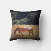 Grazing Palomino.... クッション (裏面)