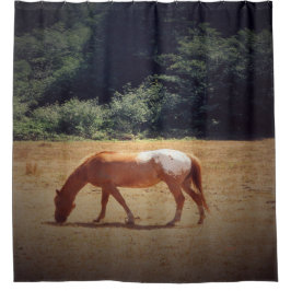 Grazing Palomino.... シャワーカーテン