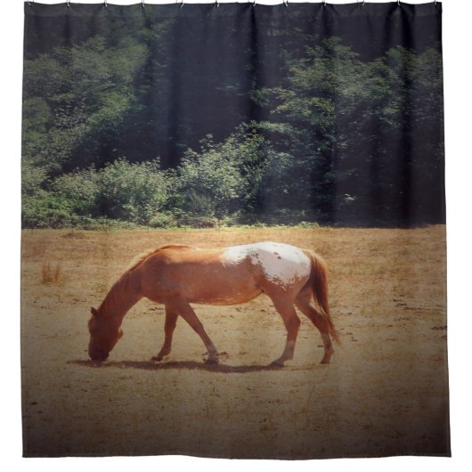 Grazing Palomino.... シャワーカーテン (正面)