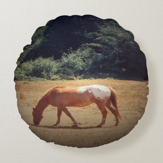 Grazing Palomino.... ラウンドクッション (正面)