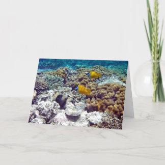 Great Barrier Reef カード