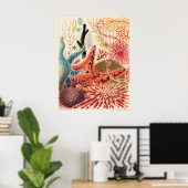 Great Barrier Reef Echinoderms, ポスター (ホームオフィス)