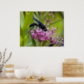 Great Black Wasp ポスター (キッチン)