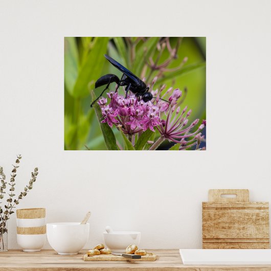Great Black Wasp ポスター (キッチン)