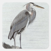 Great Blue Heron スクエアシール (正面)