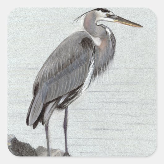 Great Blue Heron スクエアシール (正面)
