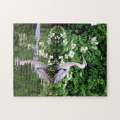 Great Blue Heron and Alligator Puzzle ジグソーパズル (横)