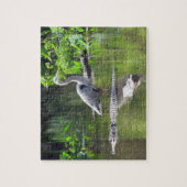 Great Blue Heron and Alligators Puzzle ジグソーパズル (縦)