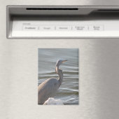 Great Blue Heron by the Water マグネット (インサイチュ (食洗機))