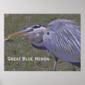 Great Blue Heron Challenge ポスター (正面)