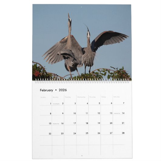 Great Blue Heron Courting Displays Calendar カレンダー (2月 2026)