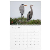 Great Blue Heron Courting Displays Calendar カレンダー (1月 2026)