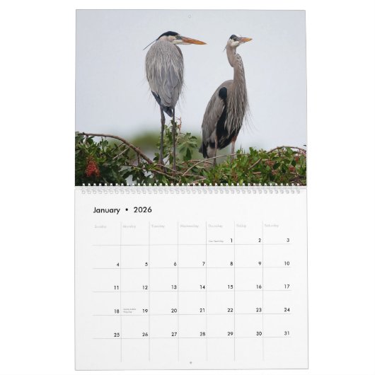 Great Blue Heron Courting Displays Calendar カレンダー (1月 2026)