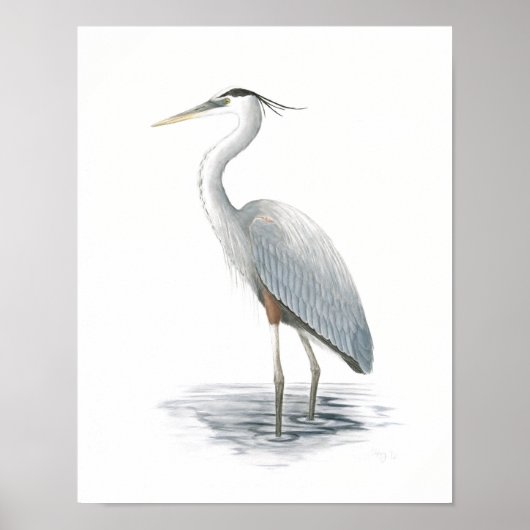 Great Blue Heron Fine Art Print ポスター (正面)