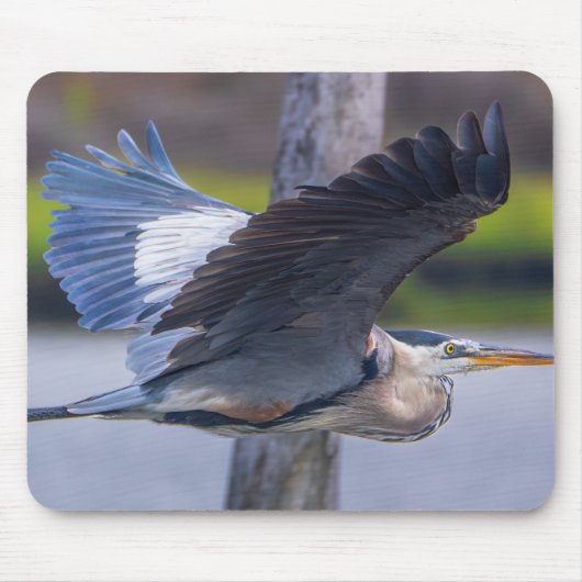 Great Blue Heron Flight Wildlife Bird Photography マウスパッド (正面)