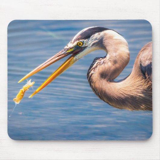Great Blue Heron Hunt Photo Wildlife Print マウスパッド (正面)