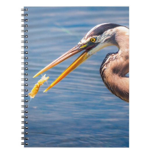 Great Blue Heron Hunting Prey Wildlife Art Print ノートブック (正面)